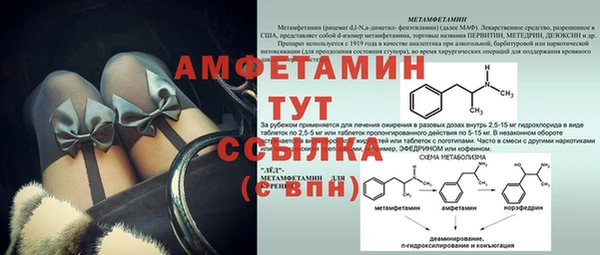 амф Бородино