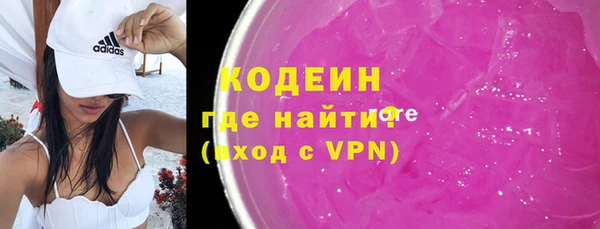 амф Бородино