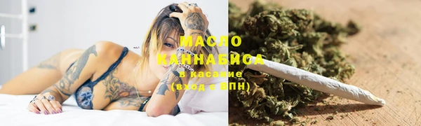 амф Бородино