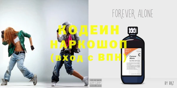 амф Бородино