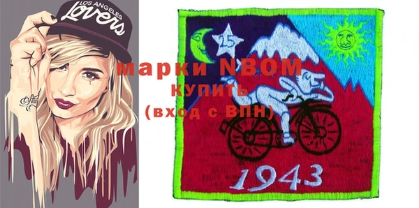 амф Бородино