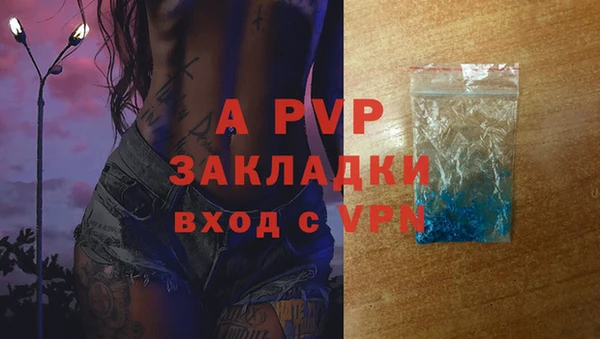амф Бородино