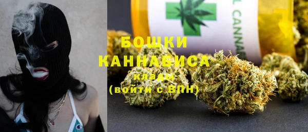 амф Бородино